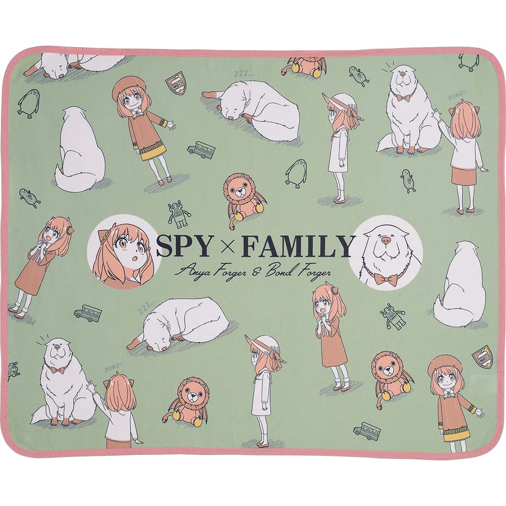 一番くじ SPY×FAMILY スパイファミリー ラストワン賞 ブロック