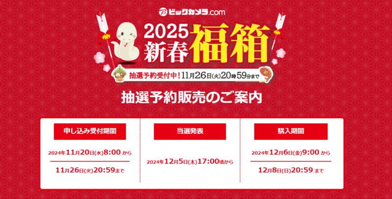 ビックカメラ　2025年の福袋