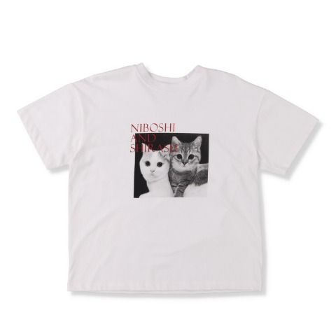 レディース　Tシャツ　しまむら『にぼしちゃん/しらすちゃん』コラボ