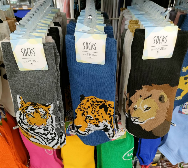 100均キャンドゥ『ネコ科猛獣の靴下』シリーズまとめ！ライオン、虎、ヒョウなど種類豊富！2024年ソックスで販売して大人気！