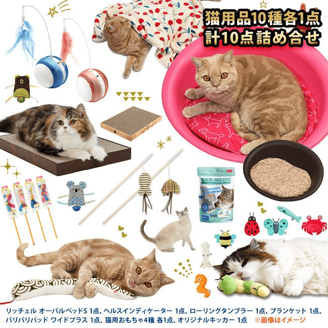 猫用品のゴロにゃん　2025年の福袋