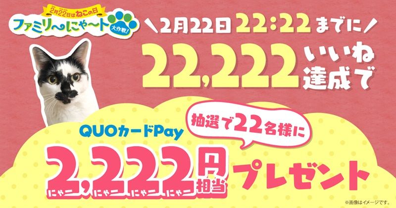 22,222いいね達成で、2,222円相当の「QUOカードPAY」が当たるXキャンペーン　ファミマ『猫の日キャンペーン』2025年　ファミリ～にゃ～ト大作戦