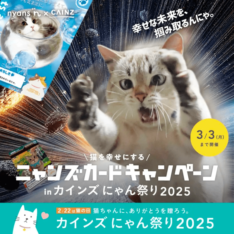 カインズ にゃん祭り2025年「ニャンズカード」おまけ