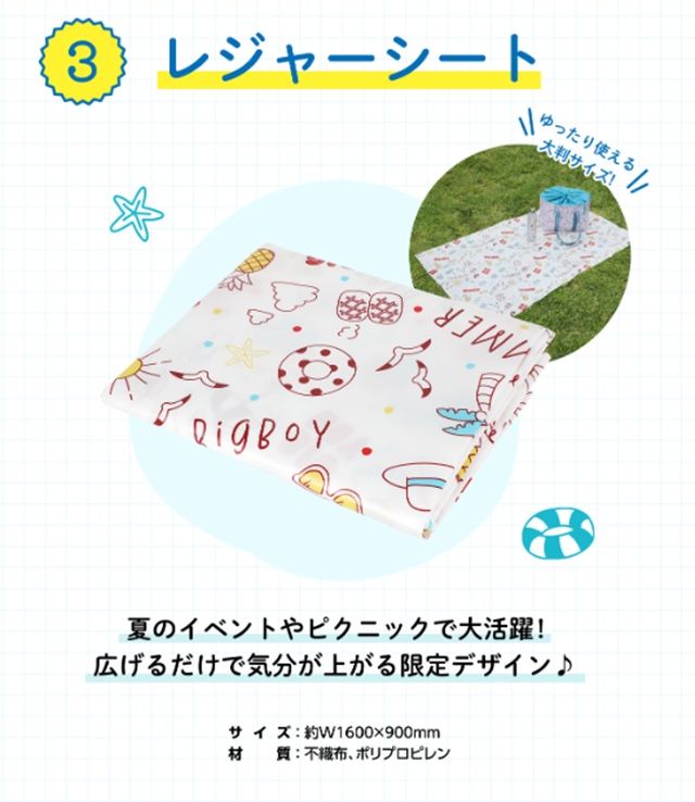 レジャーシート　ビッグボーイ夏の福袋2026