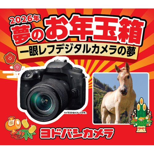 ヨドバシ福袋『一眼デジタルカメラ』お年玉箱2026年！ネタバレ中身・総額・型式・口コミまとめ