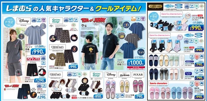 チラシ 「FIBER DRY(ファイバードライ)の日」のキャラクター&クールアイテム