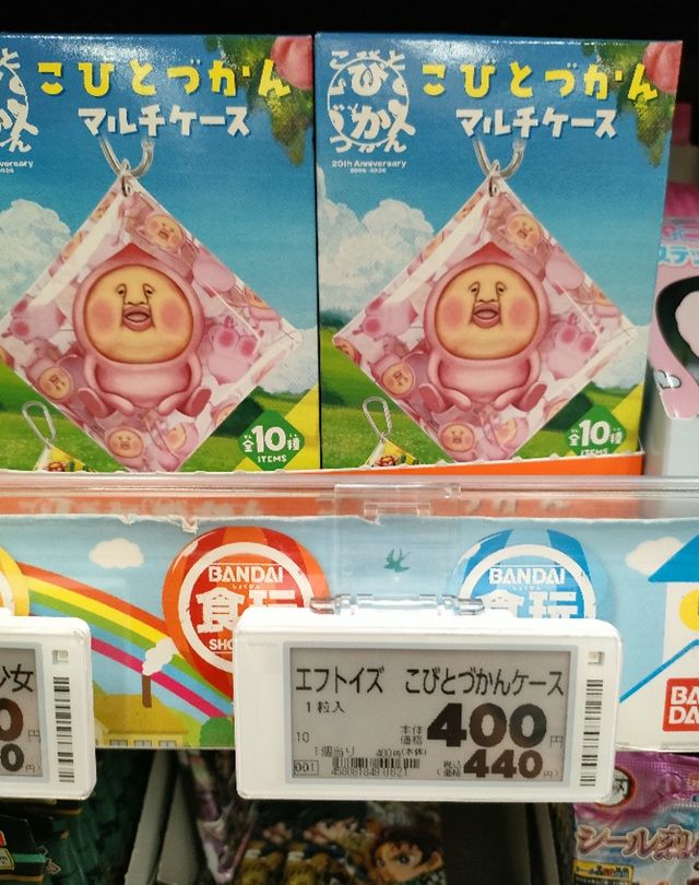 イオン 売り場 こびとづかん マルチケース