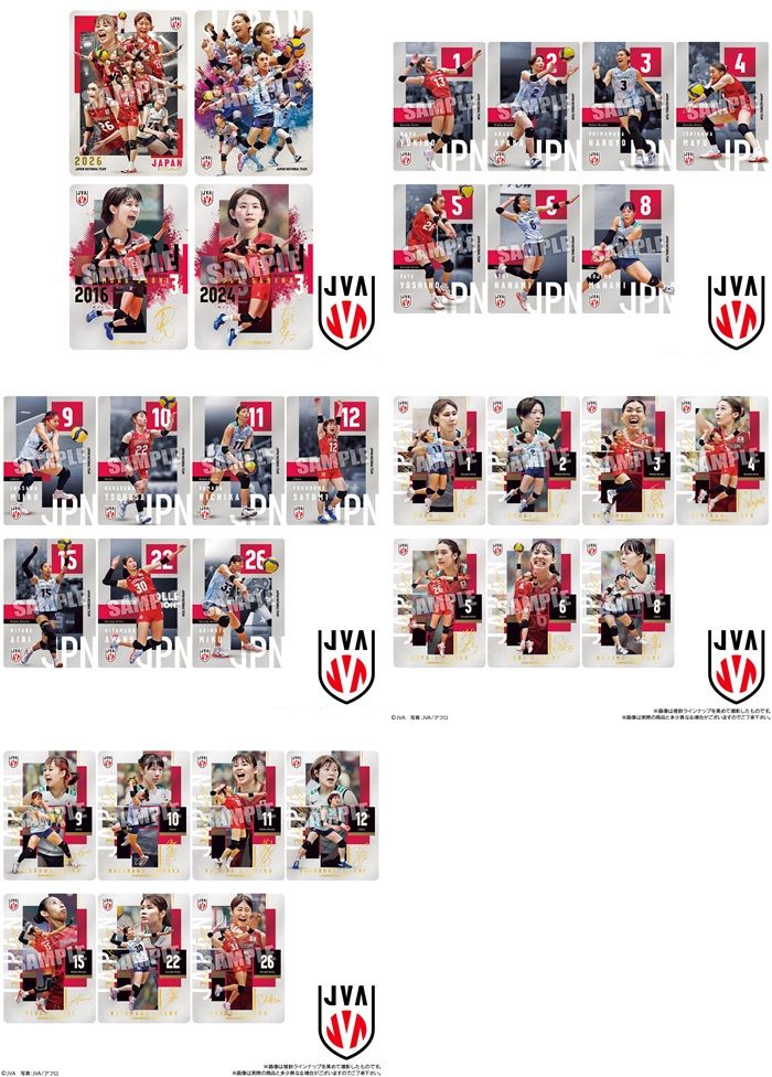 種類　JAPAN NATIONAL VOLLEYBALL TEAM -女子日本代表ver.- ツインウエハース 2026