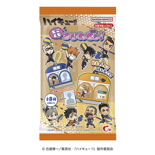 どこでもついんどぅ！ハイキュー!!