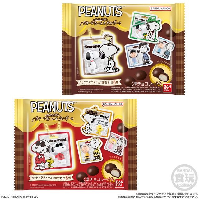 PEANUTS -SNOOPY- パッケージチャーム&チョコボーロ（スヌーピー）