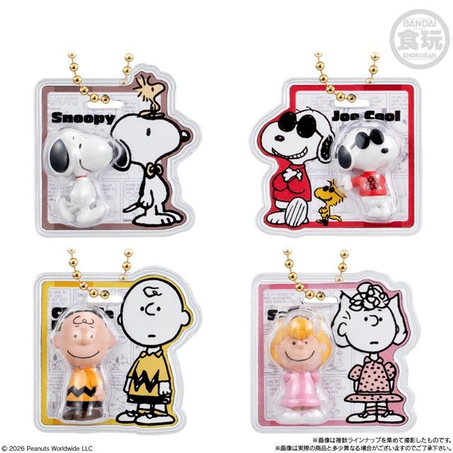 種類　PEANUTS -SNOOPY- パッケージチャーム&チョコボーロ（スヌーピー）