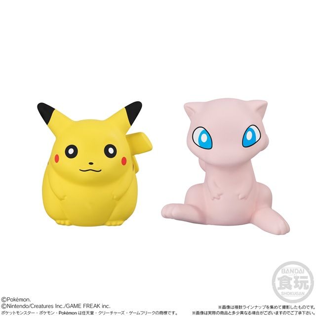 種類　ポケモンキッズ ポケモン30周年記念編
