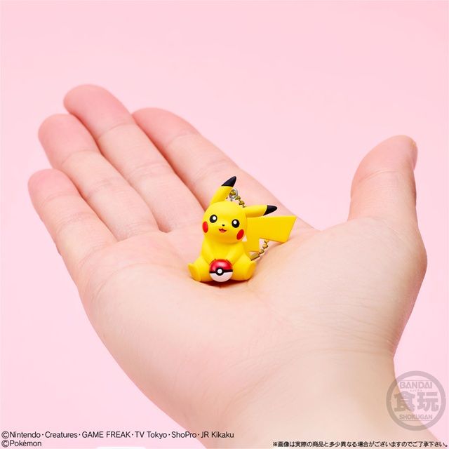 ピカチュウマスコット&ビスケット ピカチュウだらけのホリデー!